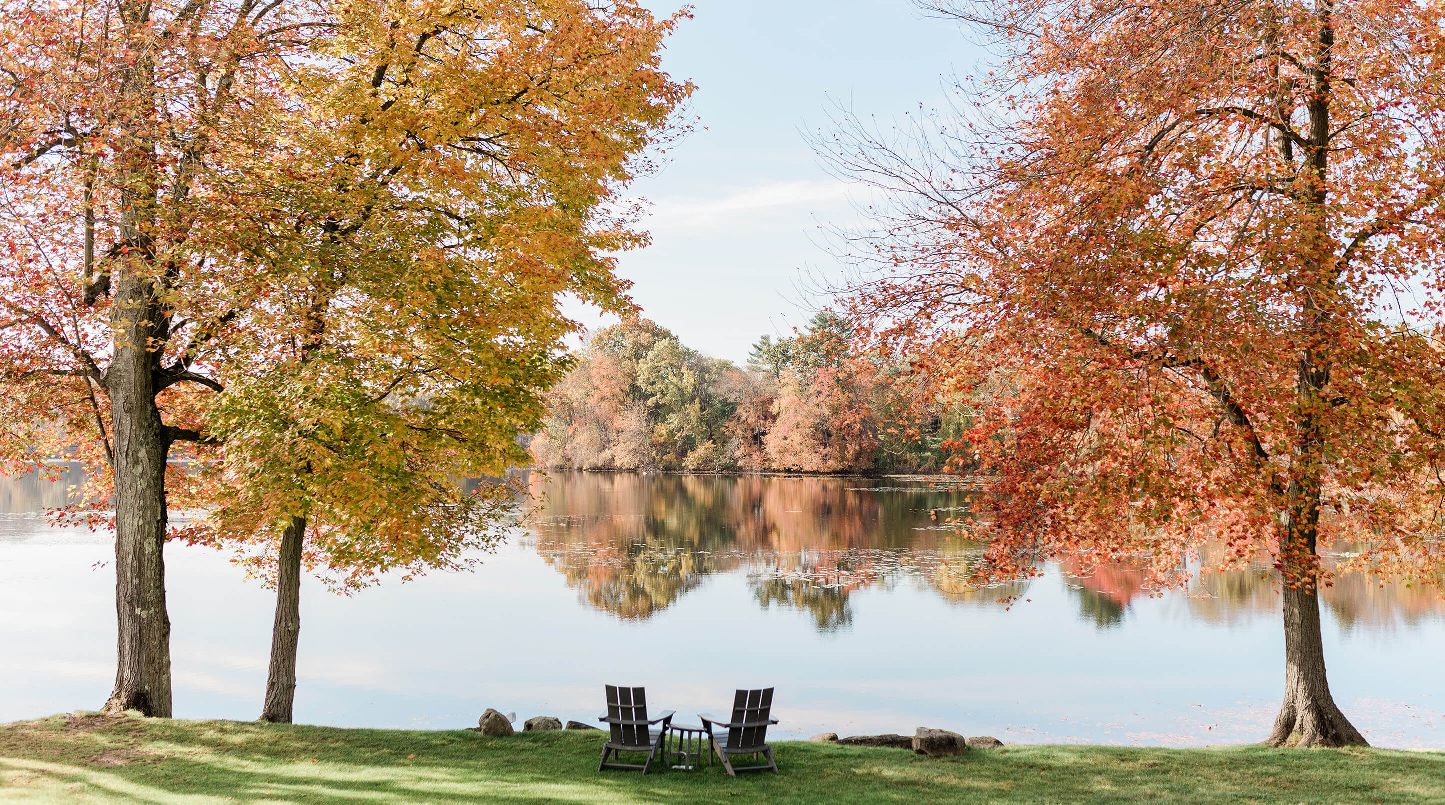 benches by the lake